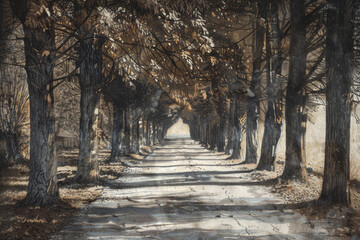 Poster - A painting of a road with trees on either side