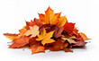 © Jota - Pile of autumn leaves isolated on white background