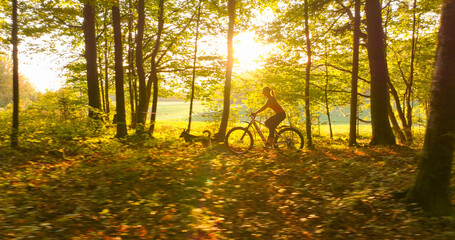 Wall Mural - LENS FLARE: Active lady and her dog biking through a lush vibrant forest, with sunlight filtering through the trees, creating a peaceful and motivating atmosphere for outdoor fitness and adventure.