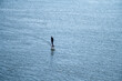 © homydesign - Silhouetted man on a hydrofoil surfboard