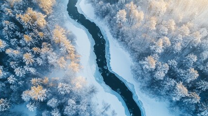 Poster - Aerial View of a Frozen River Winding Through a Snow-Covered Forest