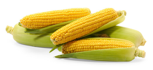 Wall Mural - Corncobs with green husks isolated on white