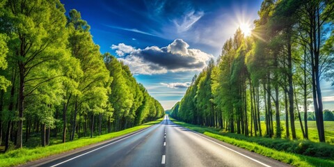 Tree-lined highway stretches curvaceously, surrounded by lush green forest under a radiant blue sky.