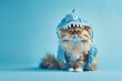 © tracy - A cat wearing a blue shark costume is sitting on a blue background
