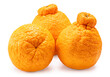 © Juraiwan - Fresh Orange fruit on whithe background, Dekopon orange or sumo mandarin tangerine isolate on white with clipping path.