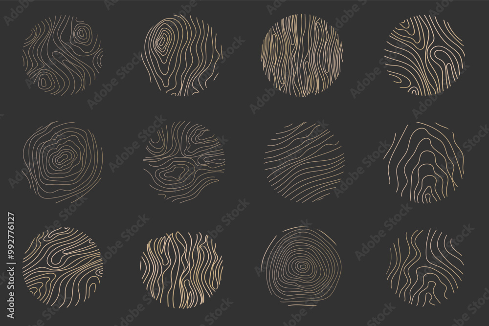 Golden thin line tree ring collection. Elegant gold wooden section ...