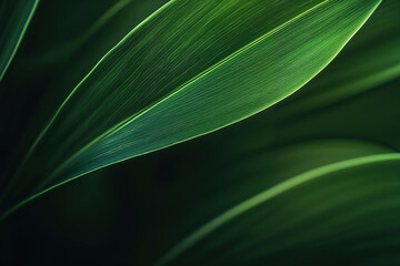 Green leaves creating abstract diagonal lines pattern background