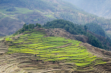 Himalayas mountain range, Spectacular and Mesmerizing landscape, view of the mystical land of Kumaun, near Munsiyari, Pithoragarh, Uttarakhand, India. Background, cover, copy space, soft focus