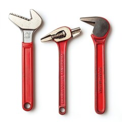 Wall Mural - Basic hand tools, Pipe Wrench, isolated on white background  