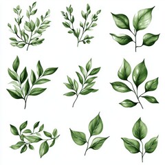  Beautiful collection of illustrated green leaves, perfect for backgrounds, patterns, and nature-themed designs.