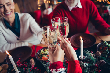 Poster - Cropped portrait of full friendly family hands hold clink champagne glass celebrate christmas dinner apartment indoors