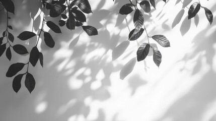 Shadow Texture. Abstract Design with Black and White Tree Branch Overlays