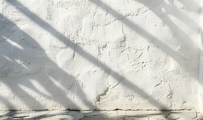 background of organic shadow over white textured wall