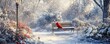 © Stock Spectrum - A Cardinal Perched on a Bench in a Snowy Forest, Winter Wonderland, Cardinal, Snow
