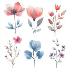 Sticker - Watercolor Floral Set.