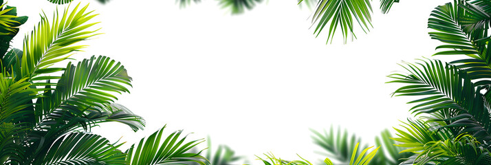 overlay frame from fresh green jungle palm leaves on transparent background