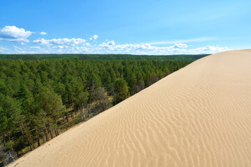 tukulan sand dune and taiga in yakutia, russia