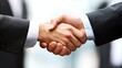 © WS Studio 1985 - Two individuals shaking hands, symbolizing agreement, partnership, or cooperation in a professional setting.