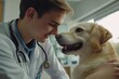 © Dasha Yurk - veterinary clinic, doctor veterinarian examines a dog. ai generation