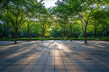 Green city park with square floor and tree in summer