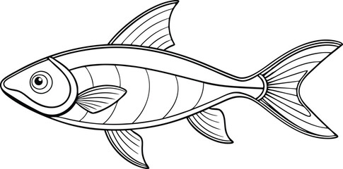 Neon Tetra fish line art vector illustration on black and white.