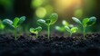 © julija - Seeds of Promise: Vibrant Green Seedlings Emerging in Golden Sunlight