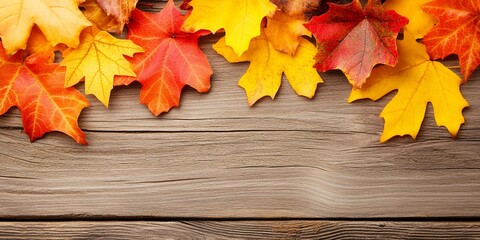 Wall Mural - Colorful autumn leaves on a wooden background