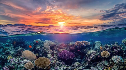 Stunning underwater coral reef scene showcasing a vibrant array of marine life during a spectacular sunset