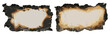 © LOVE VECTOR - Burned and charred parchment, realistic burnt paper scrap with fire vector effect, flame border and black ash, burn paper page edge, flammable damage rectangle note, scorched paper background