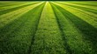 © Nuttaya Nampai - A field of vibrant green grass, freshly mowed and perfectly trimmed. Ideal as a nature wallpaper or a backdrop for sports turf and outdoor activities.