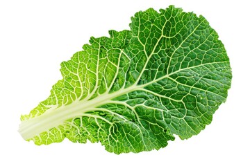 A crisp and fresh lettuce leaf in close-up