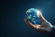© Nova Sphere - Hand Holding Earth Globe
