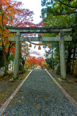 Poster - 滋賀県　鶏足寺の紅葉
