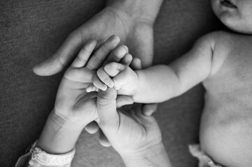 hands of the child and father and mother. newborn baby. the concept of motherhood