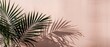 Palm Leaf Shadow on Pink Wall