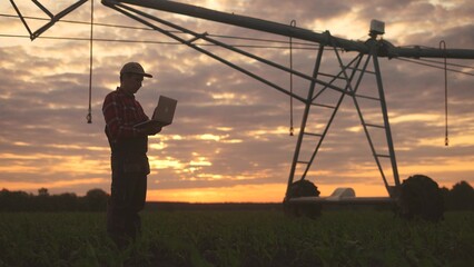 irrigation corn sunset. a male farmer working on laptop in corn field. irrigation sunset corn business concept. scientist collects data on corn sales this lifestyle month