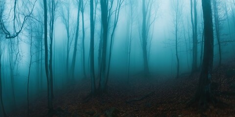 Wall Mural - A forest with trees and fog. Scene is mysterious and eerie