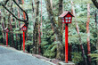 © ronnybas - Red lanterns and green forest near mount Fuji