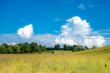 sky with clouds and  field background panorama