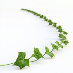 Poster - Isolated 3D Ivy Vine on White Background