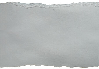 Piece of torn ripped blank paper. isolated on white .