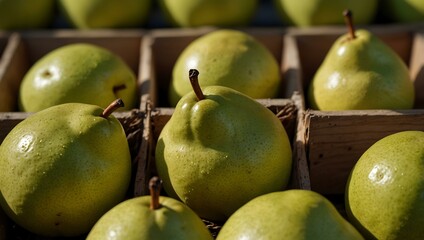 Fresh organic pears at a market, promoting healthy eating.