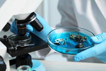 Wall Mural - Laboratory worker holding petri dish with sample near microscope at table indoors, closeup