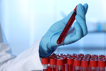 Wall Mural - Laboratory testing. Doctor holding test tube with blood sample indoors, closeup