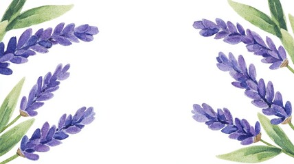 Poster - Soft Lavender Sprigs with Delicate Green Leaves, white background