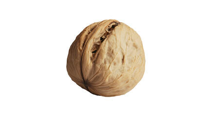 PNG A walnut food white background freshness.
