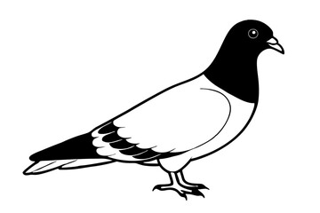 silhouette vector,Pigeons are symbolic of fertility and prosperity