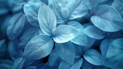 Sticker - Blue flowers in the field. Blue plants in nature