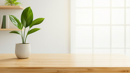 Poster - modern office space featuring bamboo desk and potted plant, creating serene atmosphere