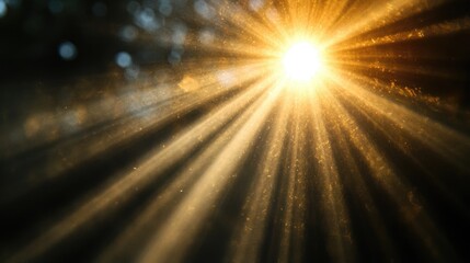 Poster - Realistic lens flare light effect with stunning rays illuminating a dark background